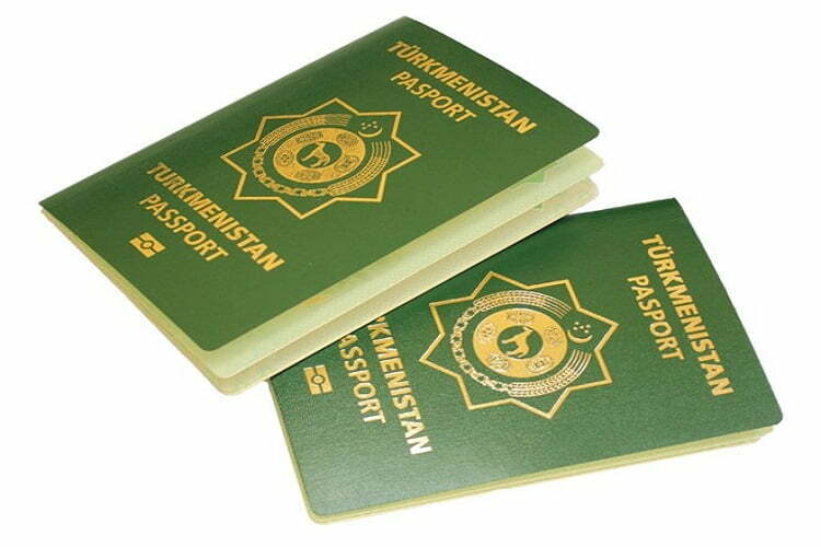 Biometrik Pasport